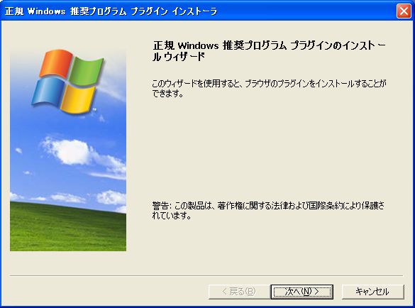 install33.jpg(34749 byte)